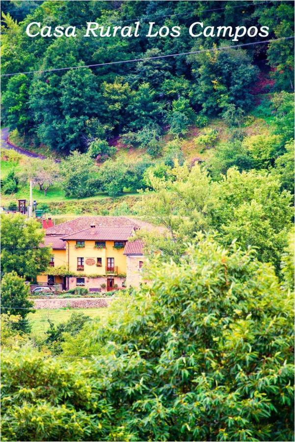 Casa Rural Los Campos Корао Экстерьер фото